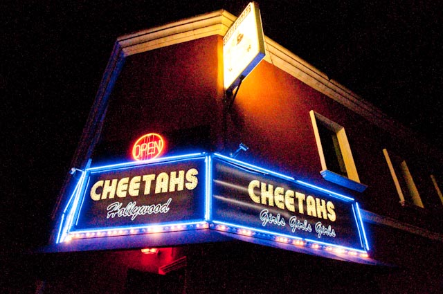 Cheetahs Hollywood